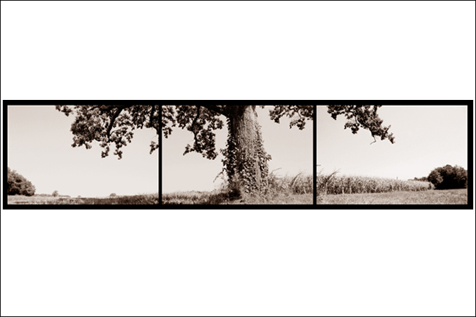 jenrutherford_fineart47